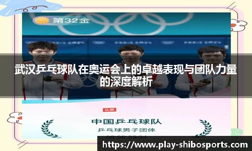 武汉乒乓球队在奥运会上的卓越表现与团队力量的深度解析